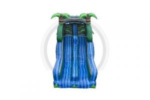Blue Crush Double Lane Slide